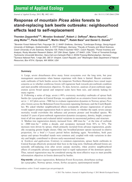 Response of Mountain Picea Abies Forests to Stand-Replacing Bark Beetle Outbreaks: Neighbourhood Effects Lead to Self-Replacement