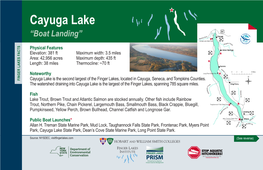 Cayuga Lake “Boat Landing”
