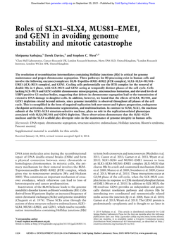 Roles of SLX1–SLX4, MUS81–EME1, and GEN1 in Avoiding Genome Instability and Mitotic Catastrophe