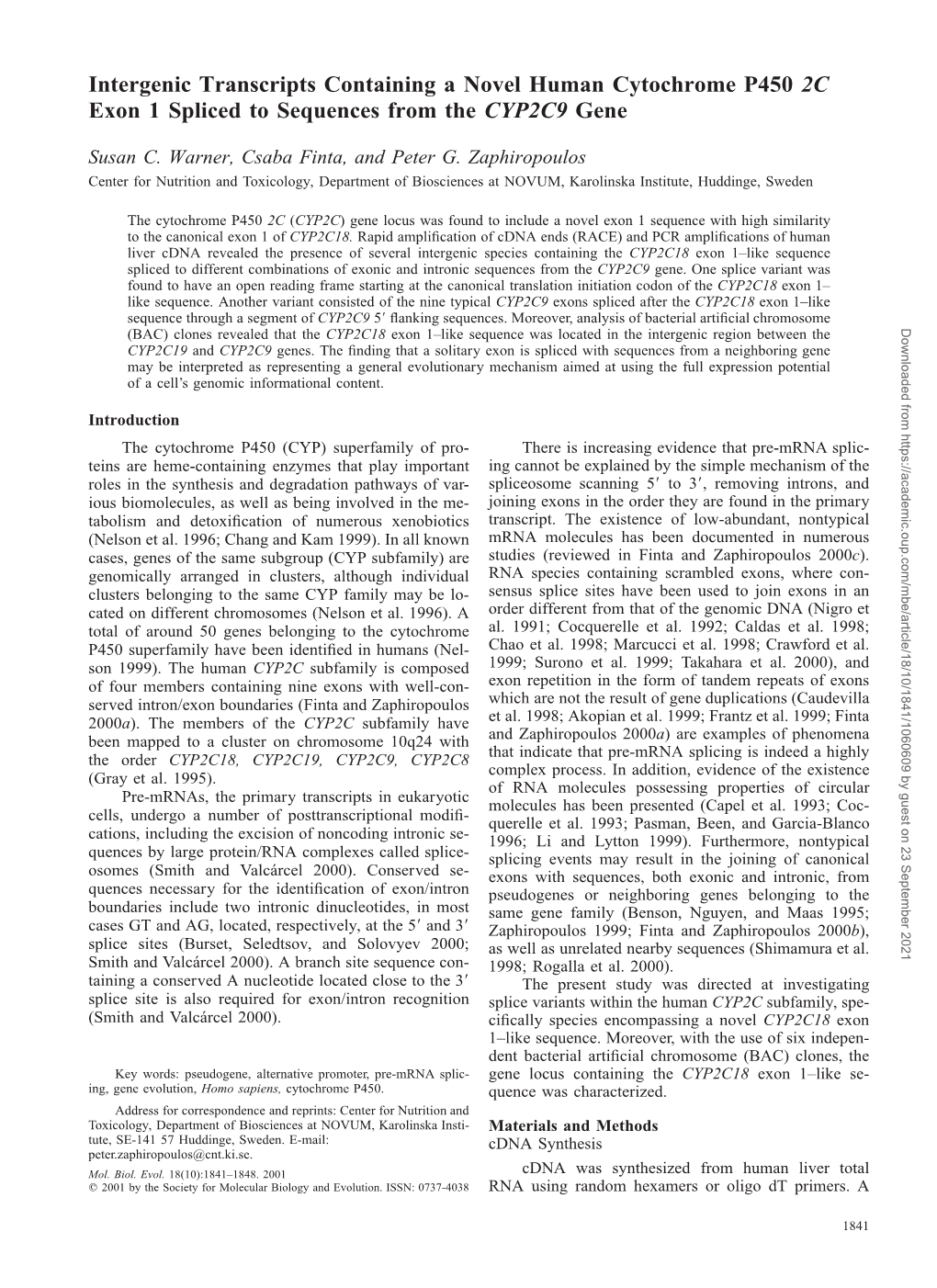 Intergenic Transcripts Containing a Novel Human Cytochrome P450 2C Exon 1 Spliced to Sequences from the CYP2C9 Gene