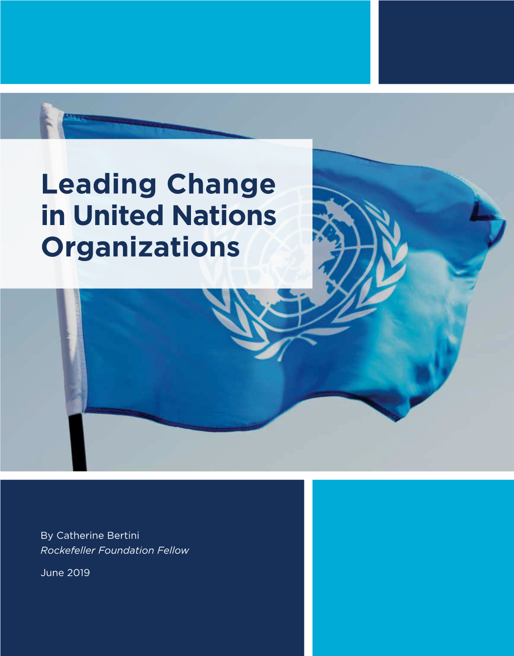 Leading Change in United Nations Organizations