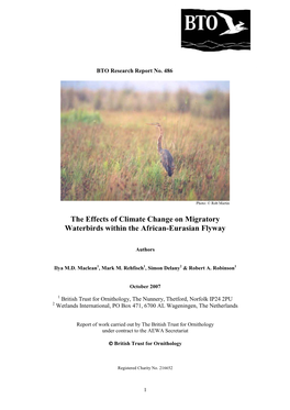 The Effects of Climate Change on Migratory Waterbirds Within the African-Eurasian Flyway