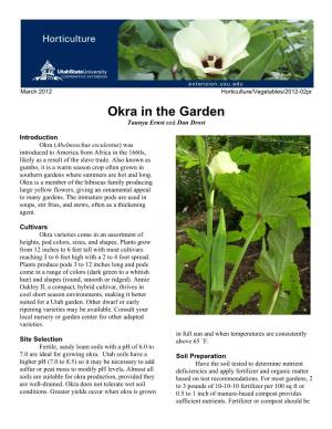 Okra in the Garden Taunya Ernst and Dan Drost