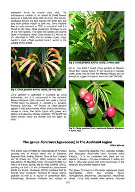 The Genus Furcraea (Agavaceae) in the Auckland Region Mike Wilcox