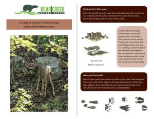 A Guide to Common Tracks and Scat of Bear Creek Nature Center Scat Can Take Many Shapes! Some Animals, Such As Deer, Produce Small, Round Pellets