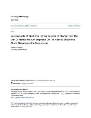 Determinants of Bite Force in Four Species of Sharks from the Gulf of Mexico with an Emphasis on the Atlantic Sharpnose Shark, Rhizoprionodon Terraenovae