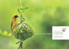 Paradise Greens Brochure V3.Cdr