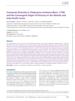 Conotoxin Diversity in Chelyconus Ermineus (Born, 1778) and the Convergent Origin of Piscivory in the Atlantic and Indo-Pacific