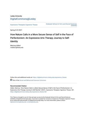 How Nature Calls in a More Secure Sense of Self in the Face of Perfectionism: an Expressive Arts Therapy Journey to Self- Identity