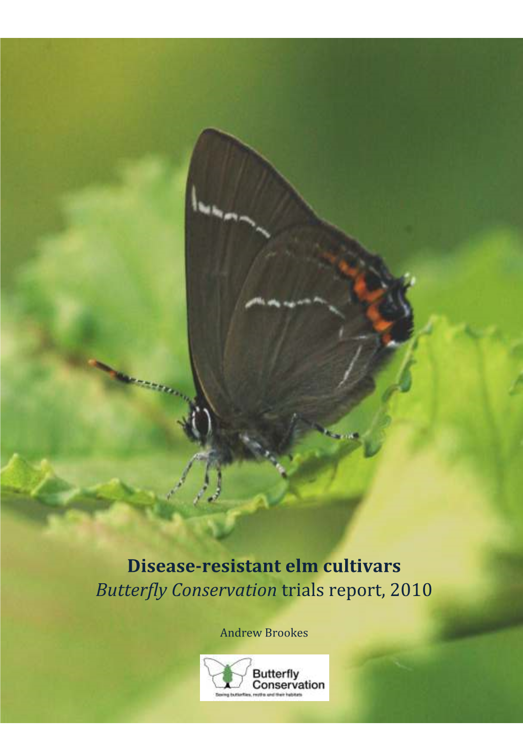 Disease-Resistant Elm Cultivars Butterfly Conservation Trials Report, 2010