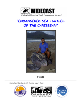 Endangered Sea Turtles of the Caribbean”