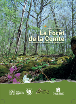 De La Comté La Forêt