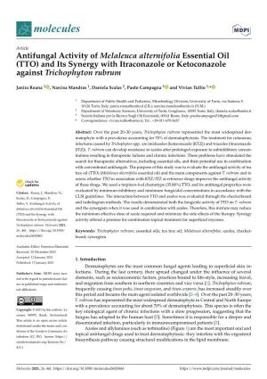 Antifungal Activity of Melaleuca Alternifolia Essential Oil (TTO) and Its Synergy with Itraconazole Or Ketoconazole Against Trichophyton Rubrum