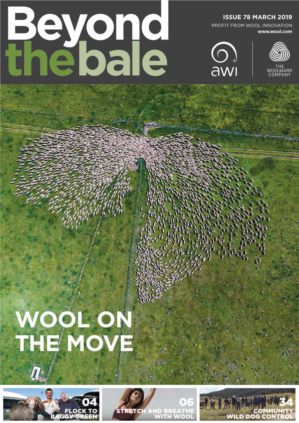 Wool on the Move
