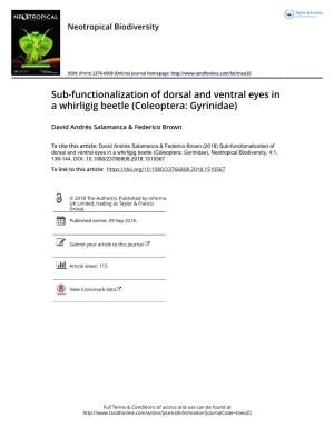 Sub-Functionalization of Dorsal and Ventral Eyes in a Whirligig Beetle (Coleoptera: Gyrinidae)