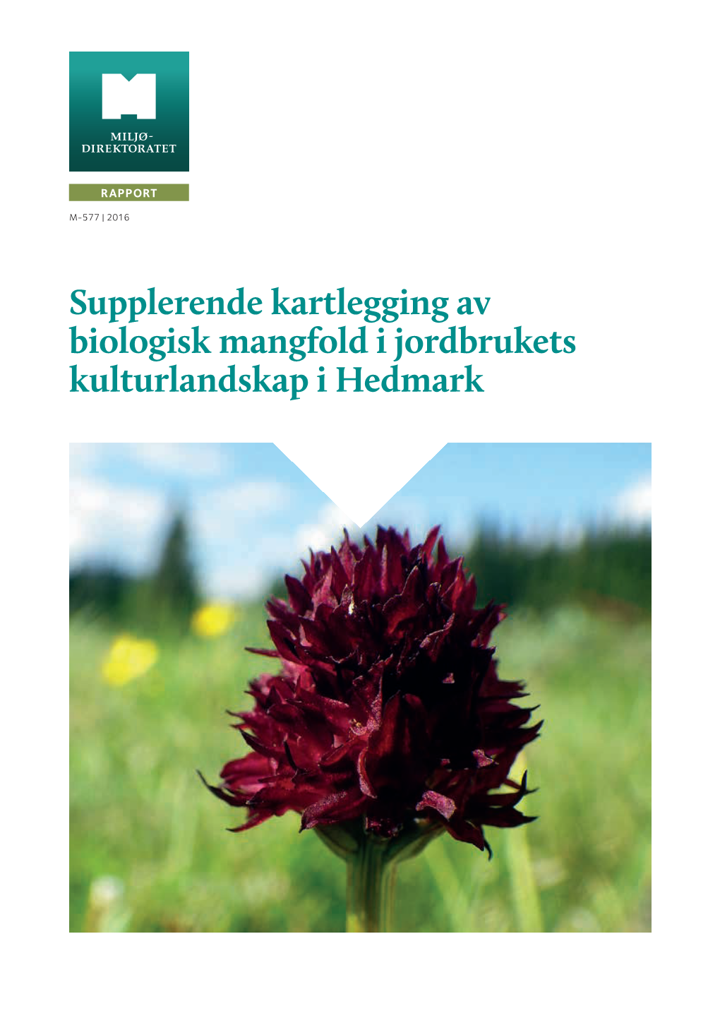 Supplerende Kartlegging Av Biologisk Mangfold I Jordbrukets Kulturlandskap I Hedmark | M-577