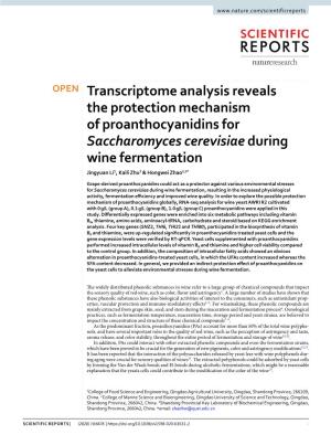 Transcriptome Analysis Reveals the Protection Mechanism Of