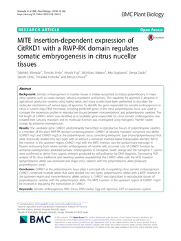 MITE Insertion-Dependent Expression of Citrkd1 with a RWP-RK Domain