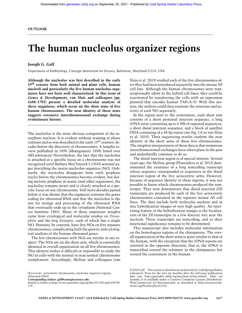 The Human Nucleolus Organizer Regions