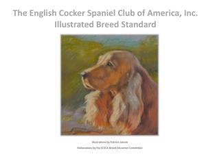 The English Cocker Spaniel Club of America, Inc. Illustrated Breed