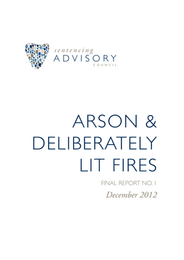Arson and Deliberately Lit Fires Final Report No. 1