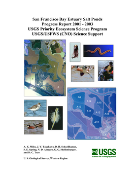 San Francisco Bay Estuary Salt Ponds Progress Report 2001 - 2003 USGS Priority Ecosystem Science Program USGS/USFWS (CNO) Science Support