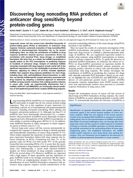 Discovering Long Noncoding RNA Predictors of Anticancer Drug Sensitivity Beyond Protein-Coding Genes