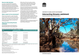 Intersecting Streams Catchment