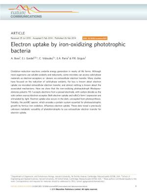 Electron Uptake by Iron-Oxidizing Phototrophic Bacteria