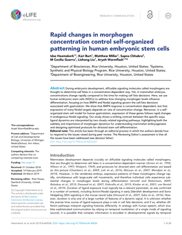 Rapid Changes in Morphogen Concentration Control Self-Organized