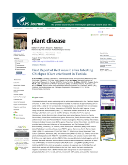 First Report of Beet Mosaic Virus Infecting Chickpea (Cicer