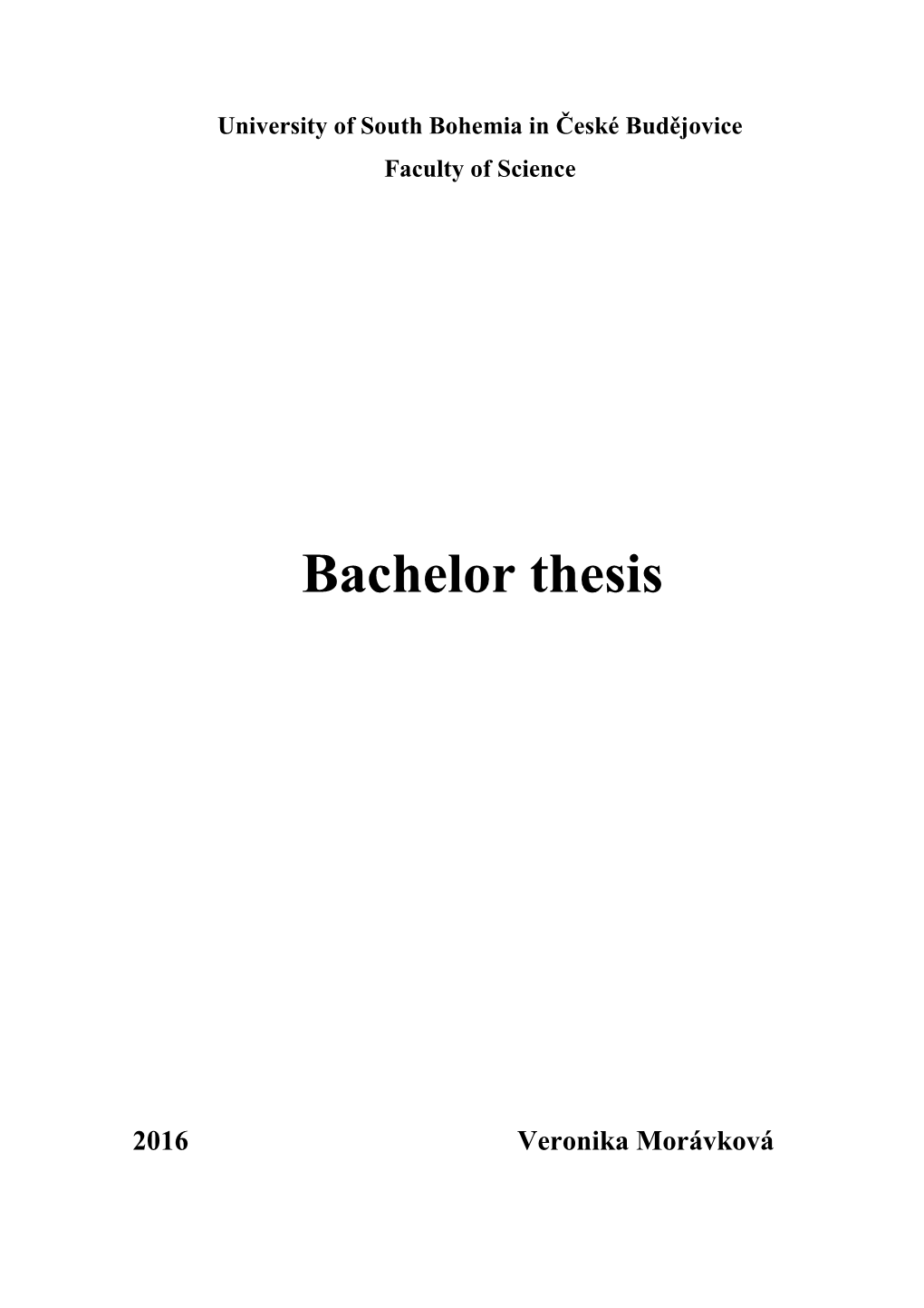 Bachelor Thesis