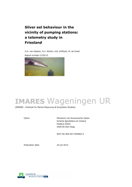 Silver Eel Behaviour in the Vicinity of Pumping Stations: a Telemetry Study in Friesland