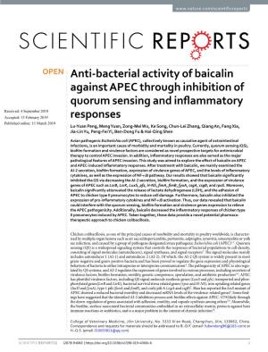 Anti-Bacterial Activity of Baicalin Against APEC Through Inhibition Of