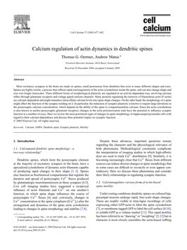 Calcium Regulation of Actin Dynamics in Dendritic Spines Thomas G