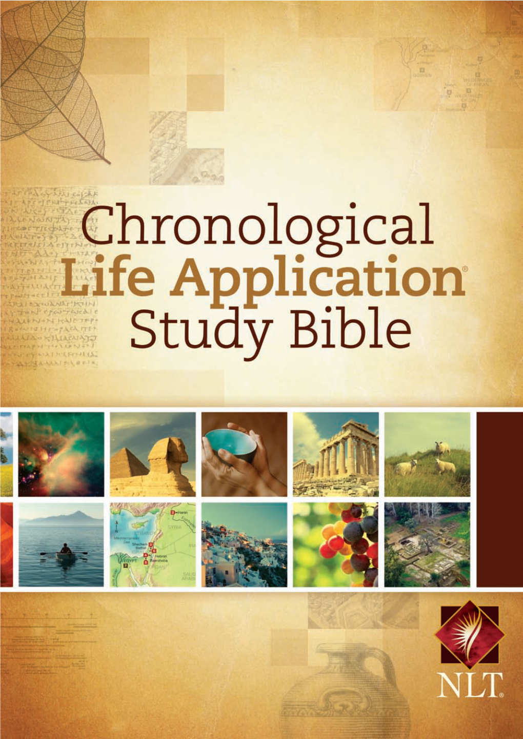 Life Application Study Bible