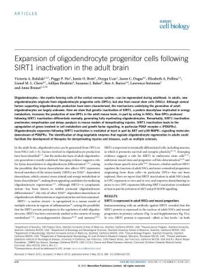 Expansion of Oligodendrocyte Progenitor Cells Following SIRT1 Inactivation in the Adult Brain