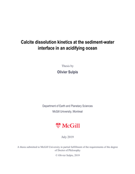 Calcite Dissolution Kinetics at the Sediment-Water Interface in an Acidifying Ocean