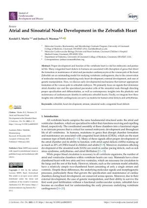 Atrial and Sinoatrial Node Development in the Zebrafish Heart