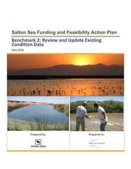 Salton Sea Funding and Feasibility Review