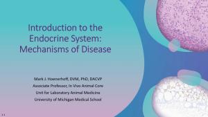 Introduction to the Endocrine System: Mechanisms of Disease