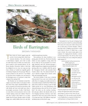 Birds of Barrington: Hear Their Notes, I Brighten up and Know I Could Watch Them for Hours If I Didn’T Have a Count BROWN THRASHER Route to Finish