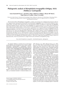 Phylogenetic Analysis of Biomphalaria Tenagophila (Orbigny, 1835) (Mollusca: Gastropoda)