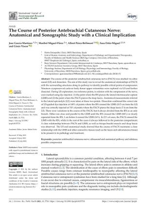The Course of Posterior Antebrachial Cutaneous Nerve: Anatomical and Sonographic Study with a Clinical Implication