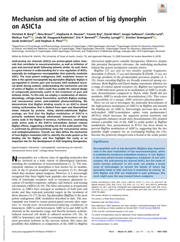 Mechanism and Site of Action of Big Dynorphin on Asic1a