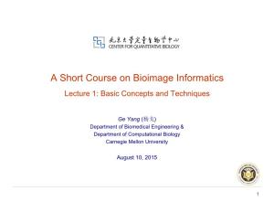 A Short Course on Bioimage Informatics Lecture 1: Basic Concepts and Techniques