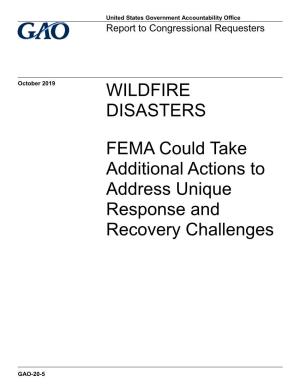 Gao-20-5, Wildfire Disasters
