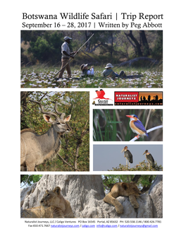 Botswana Wildlife Safari | Trip Report September 16 – 28, 2017 | Written by Peg Abbott