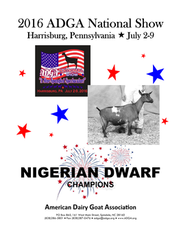 Nigerian Dwarf Champions