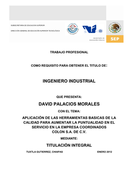 Ingeniero Industrial David Palacios Morales